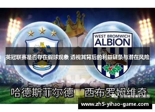 英冠联赛是否存在假球现象 透视其背后的利益链条与潜在风险